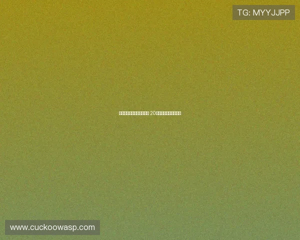 桑乔半年无球可踢竟成定局 20万周薪背后的血亏内幕